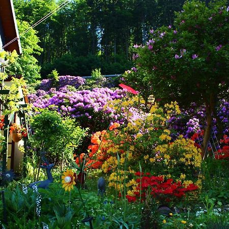 Ferienwohnung Baacke 룰라 외부 사진